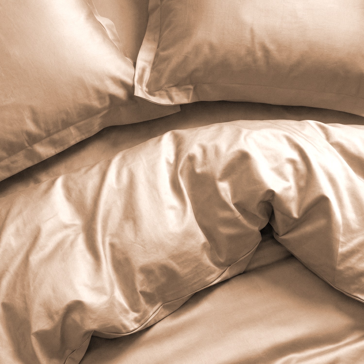 Постельное белье Ash Rose